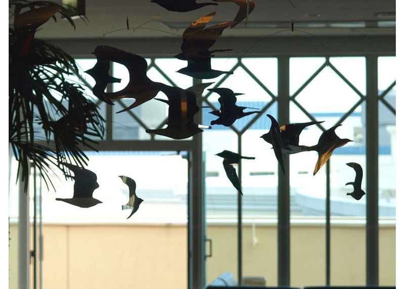 img_0b5e1a17b021fa1f5a20fb00e09dec28