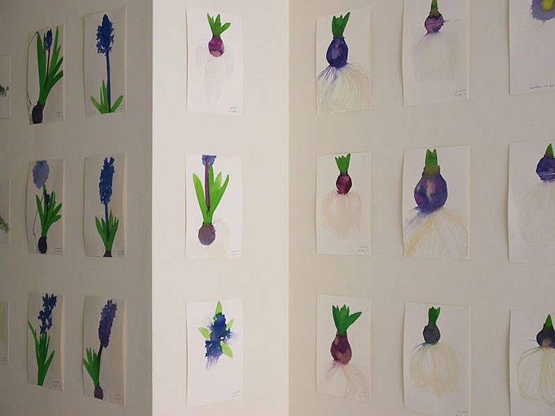 img_9aa3c4f2015371b63fc2a454aeed4b85