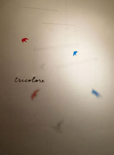 img_c96d2244fea9659029013cc7da587baa