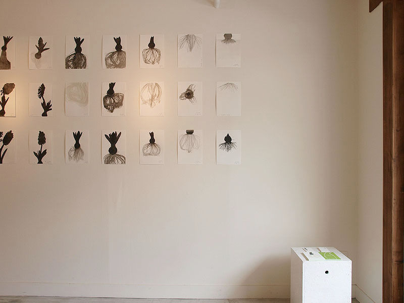 img_6bdf635688ecd3ef15ff761e3135f4b7