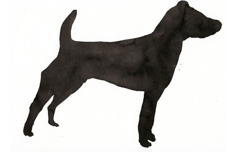 img_d6e4efd76988ca2b6f4d8474485e3b9c