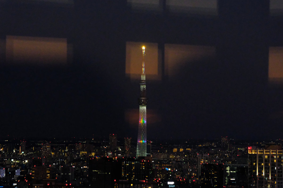 DSCF0613