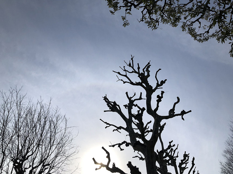 0207_0903 2