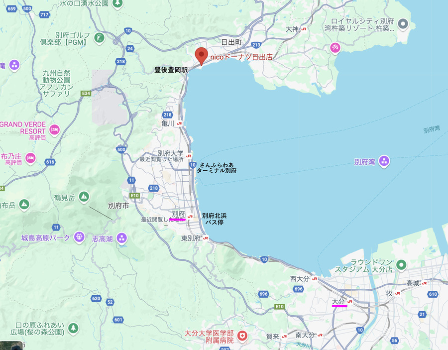 地図大
