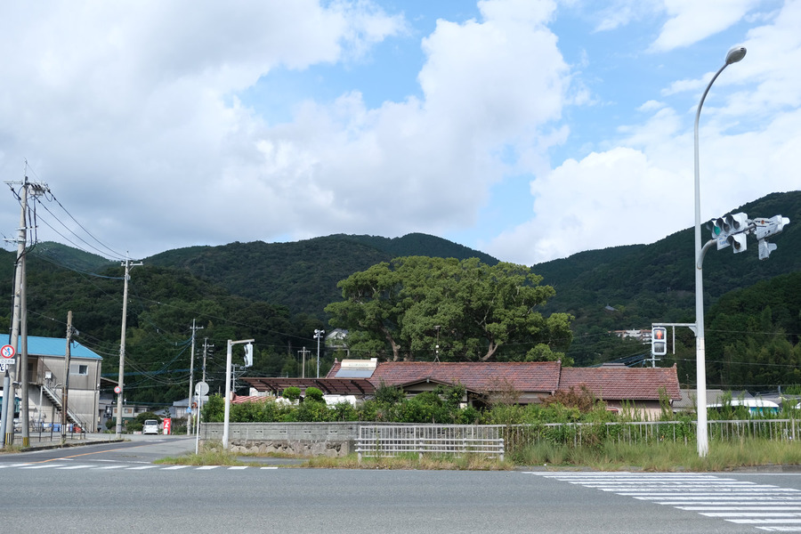 DSCF4150