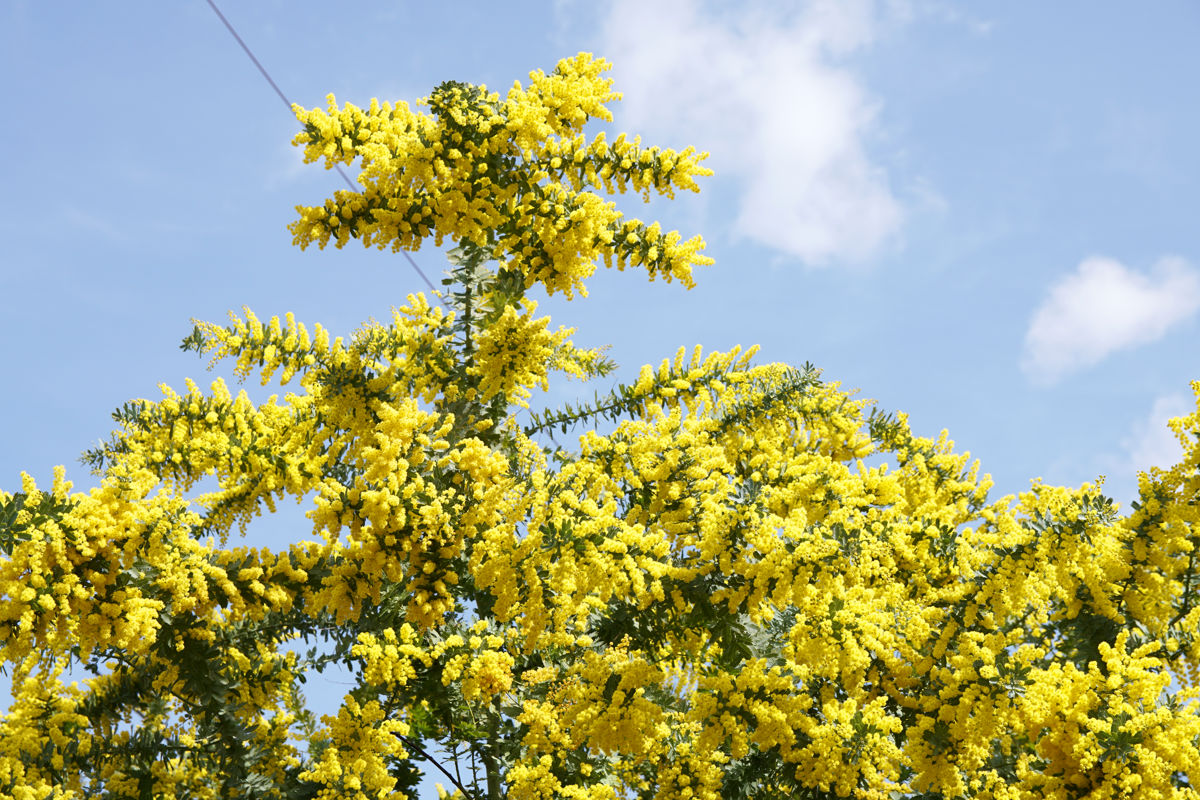 確定申告へ Norichika Kitamura