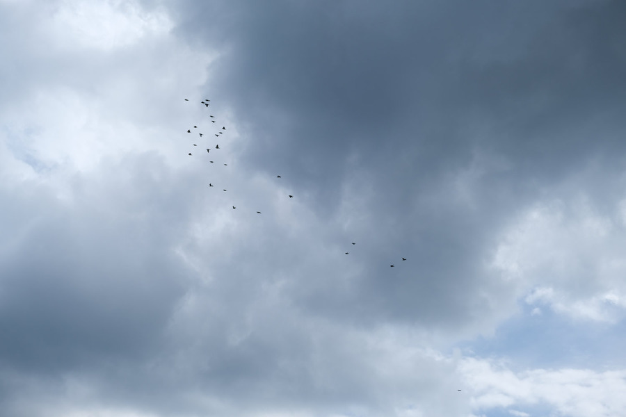 DSCF4157