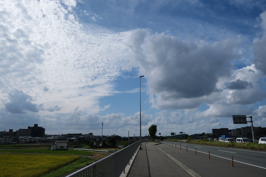 DSCF4165