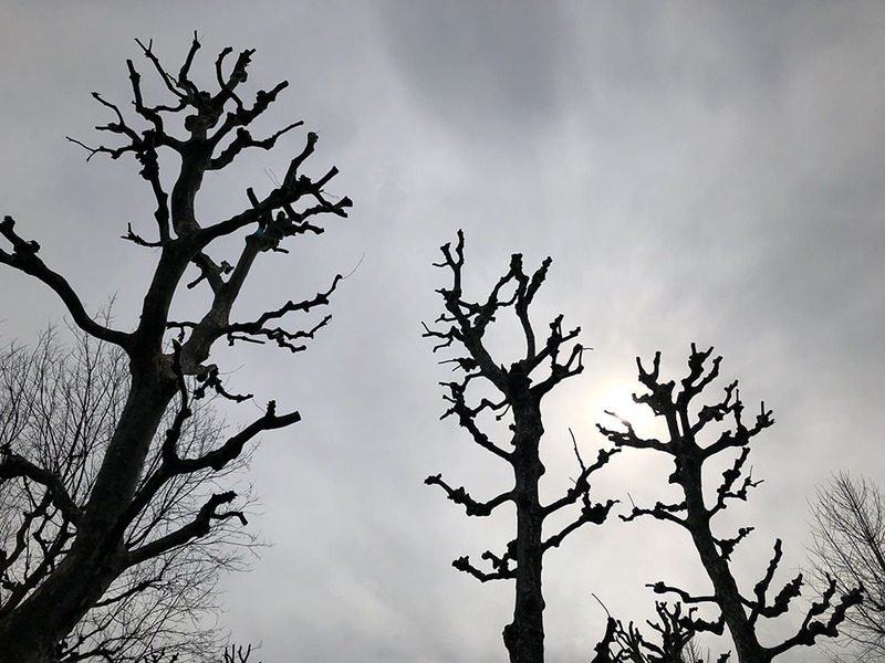 0222_0996