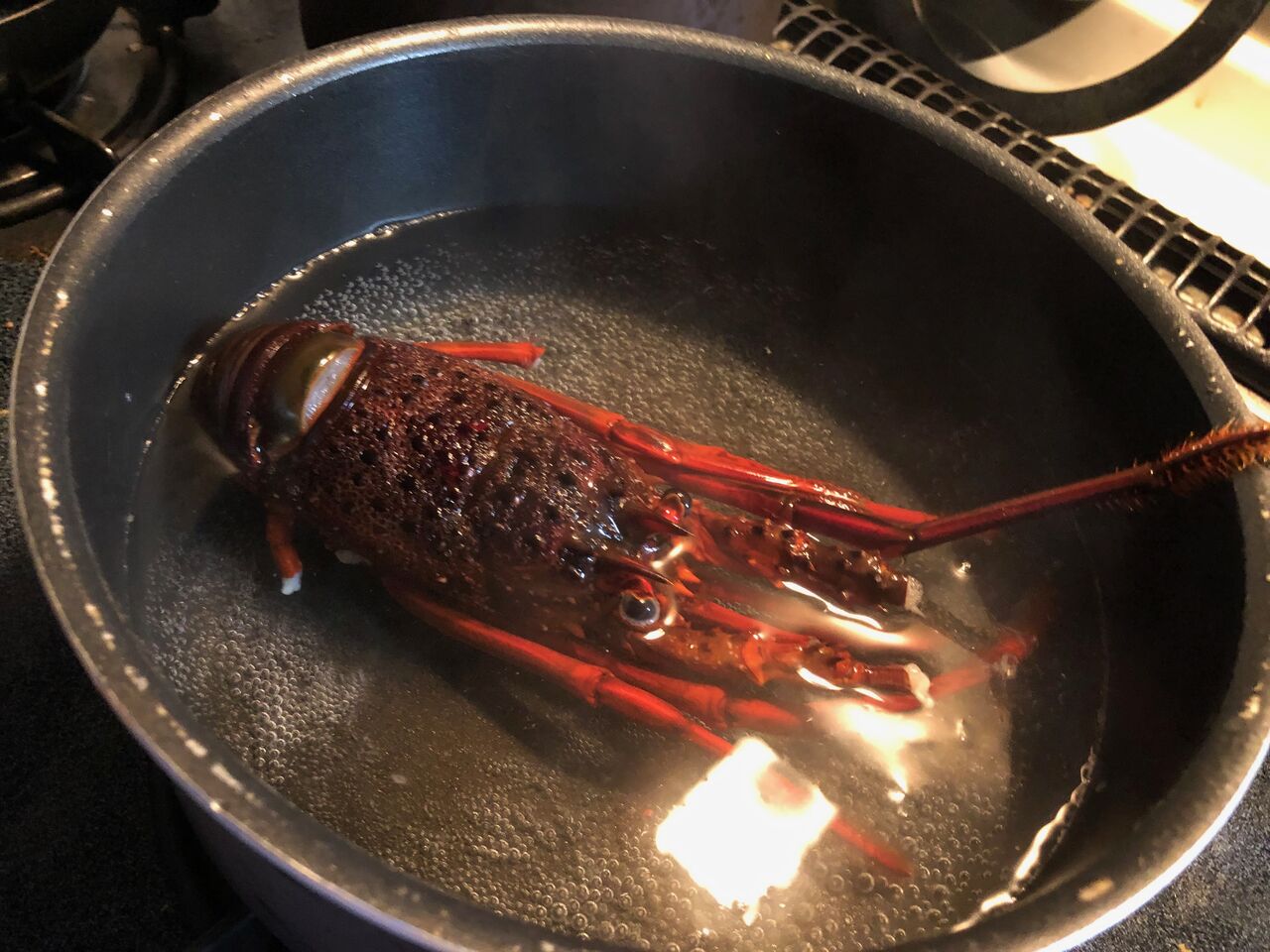 下田の伊勢海老とゴーヤチャンプルーとぶどう Eat Well Sleep Well Nori Blog 下田の伊勢海老とゴーヤチャンプルーとぶどう Eat Well Sleep Well Nori Blog