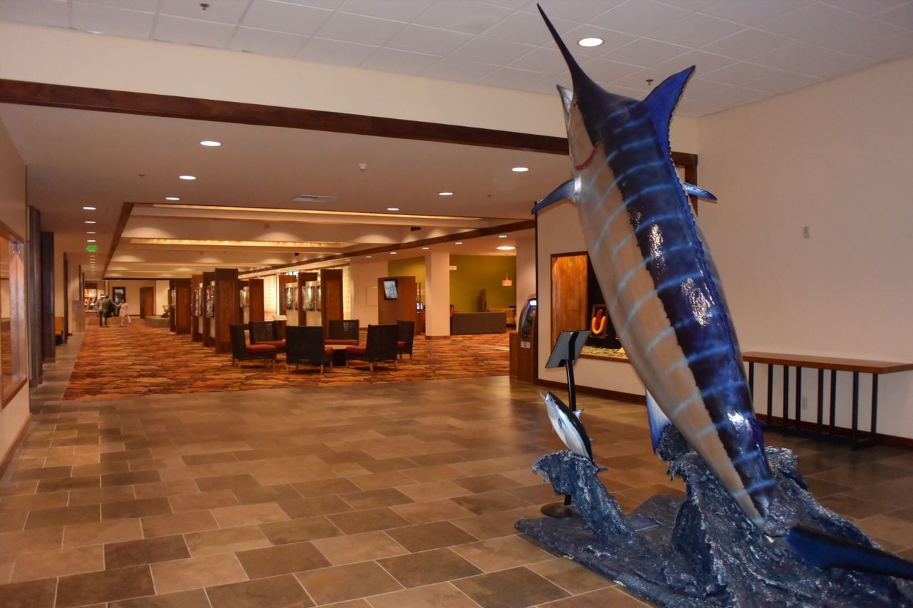 ハワイ島からオアフ島へ Eat Well Sleep Well Nori Blog