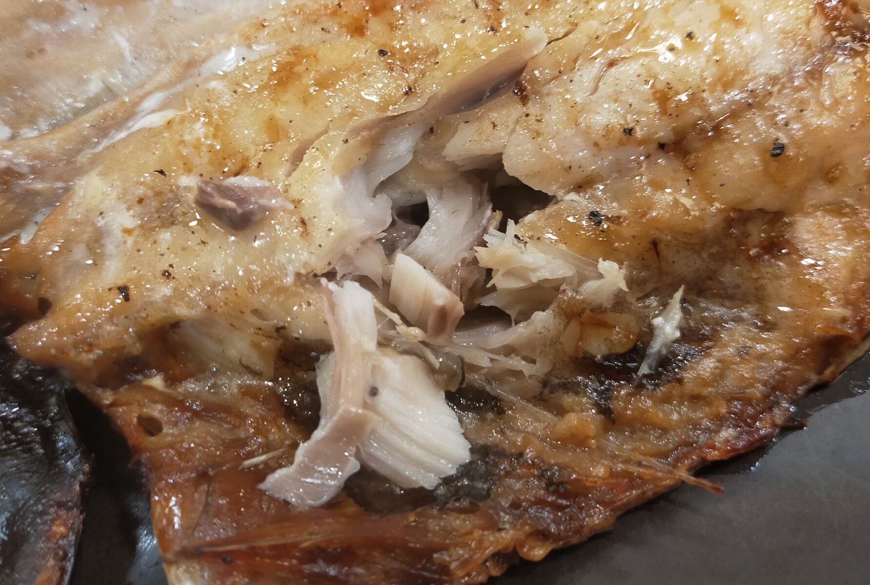 あま咲きコイン Paypayグルメオープニング干物 おかわりは永遠の輝き あま咲きコイン Paypayグルメオープニング干物 おかわりは永遠の輝き