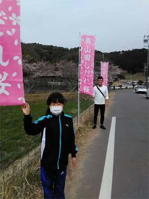 shidare_k
