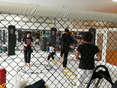 wbjj