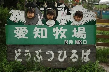 m_IMG_4676_2