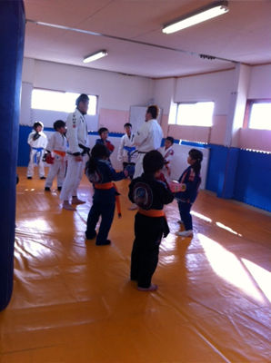 150110karate