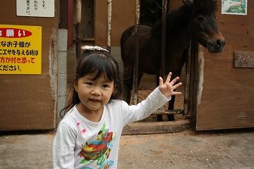 m_IMG_4673
