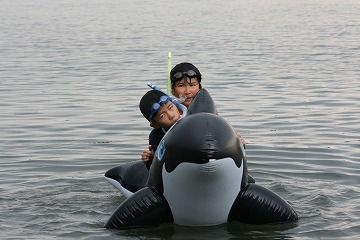 m_IMG_6648