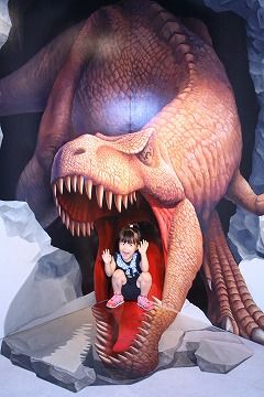 m_IMG_6523