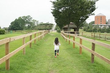 m_IMG_4660