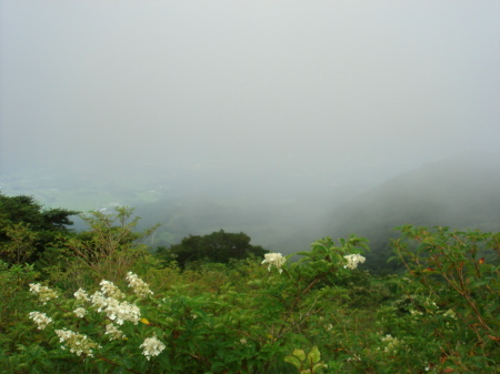 大船山47