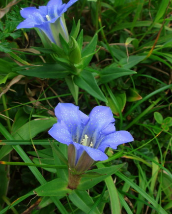 57