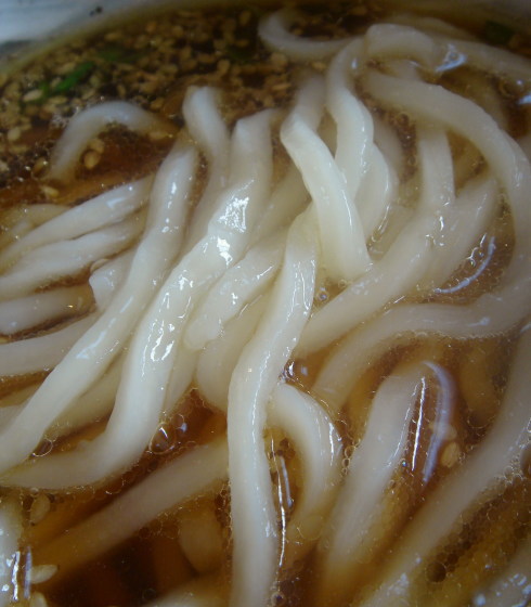 大地のうどん80