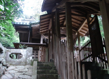 �޽�������7