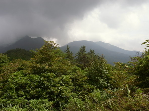 �����夦51