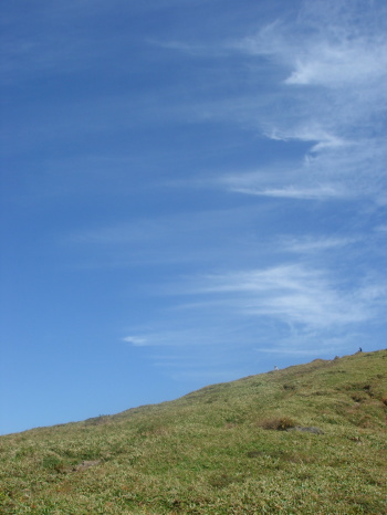 �����夦31