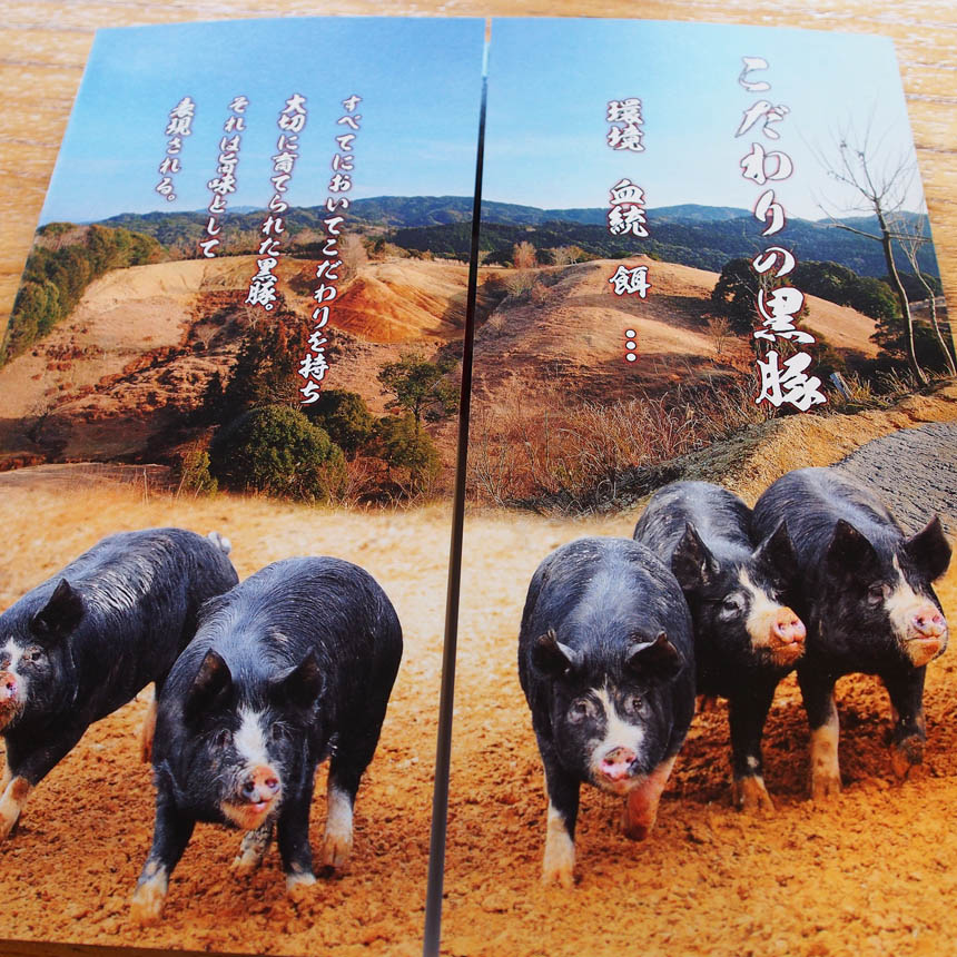 2013_07_20_nodoka15