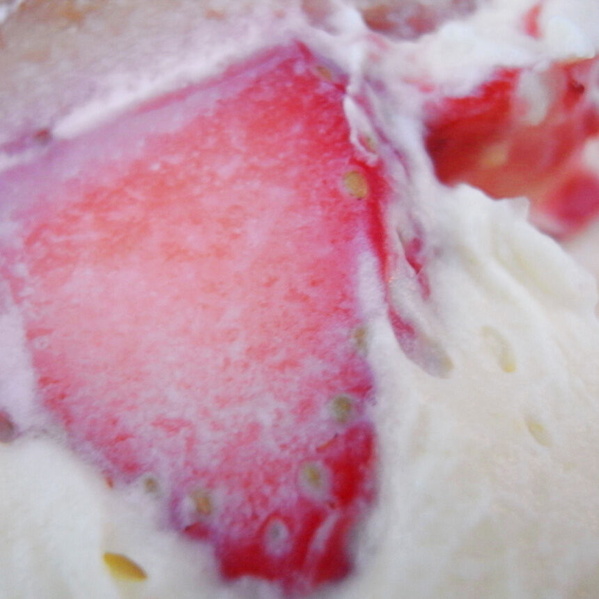 2009_11_21_ar34