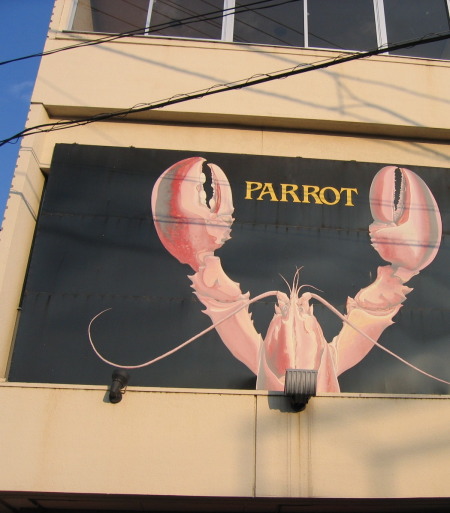 parrot10