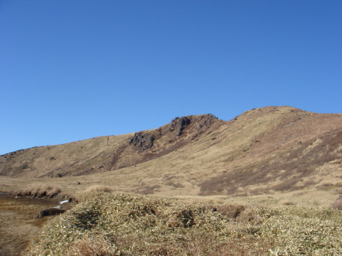 �����夦86