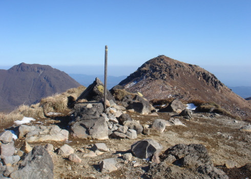 �����夦54