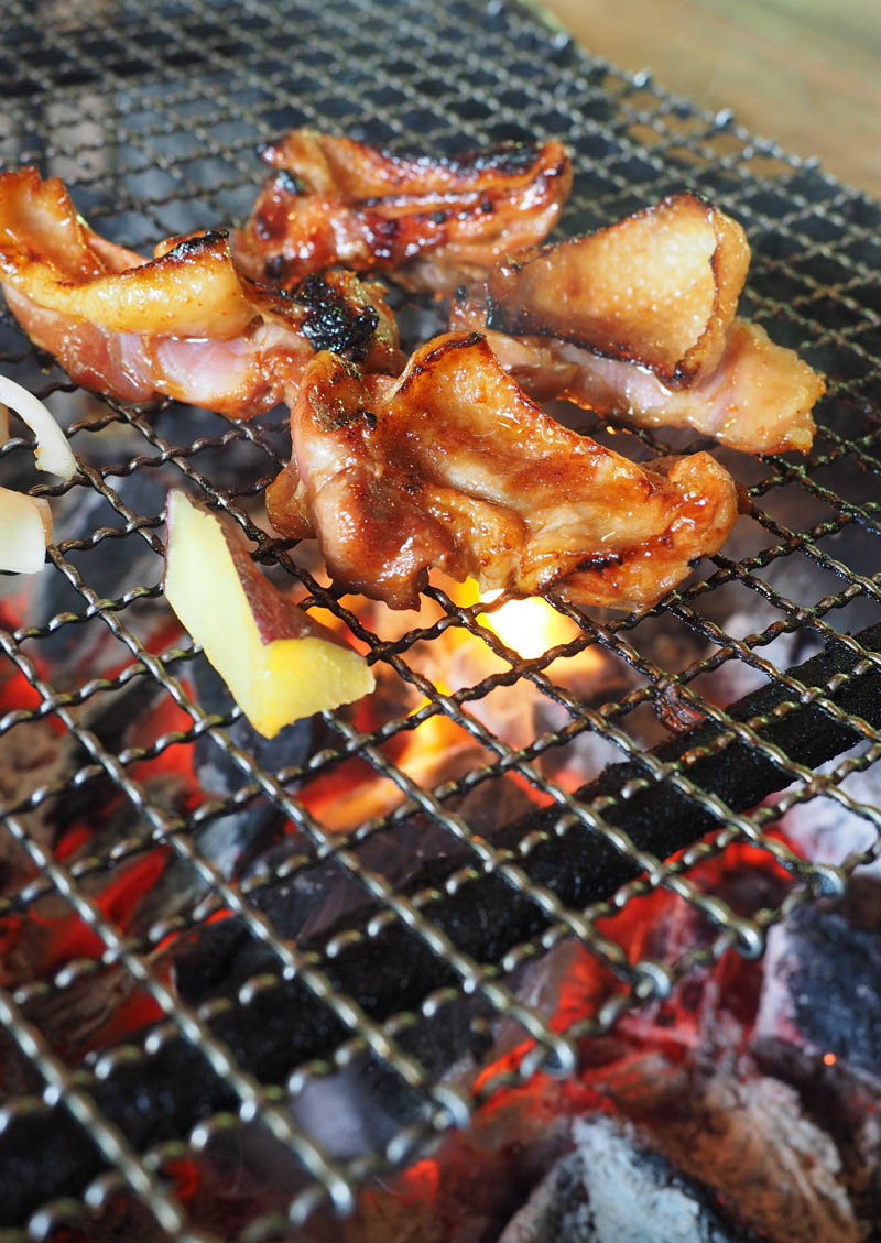 麺が好きィ ブログえぬ n らくだ山 高森町 熊本県阿蘇郡 地鶏炭火焼定食 麺が好きィ ブログえぬ n らくだ山 高森町 熊本県阿蘇郡 地鶏炭火焼定食