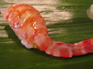 2004 04 23 ebi2