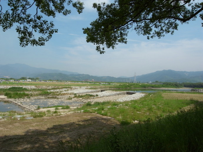 佐賀48
