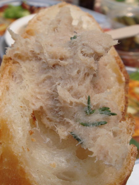 �磻��ԥ��˥å�40