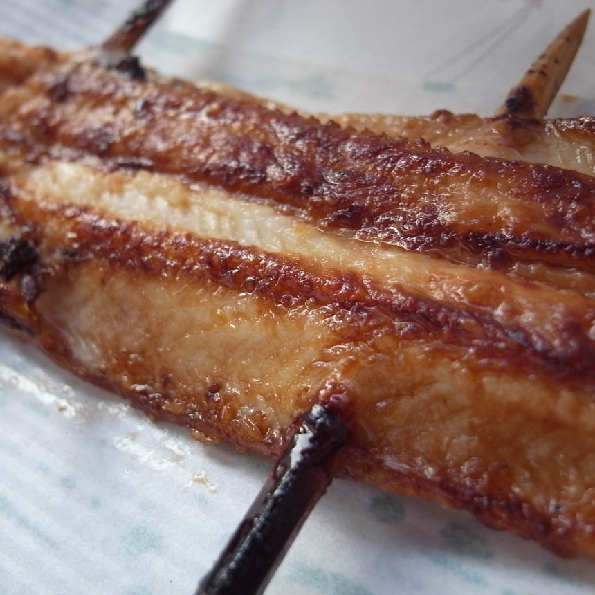 2010_03_20_shimo52