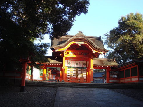 ��������26