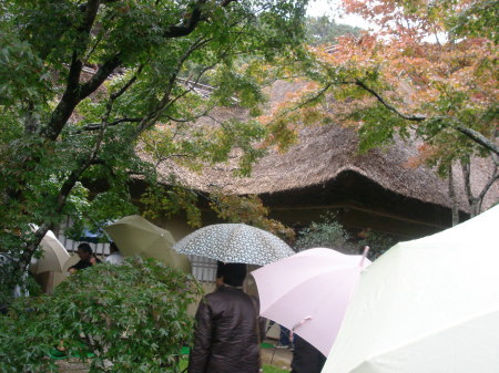 九年庵@神埼町20