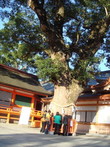 ��������60