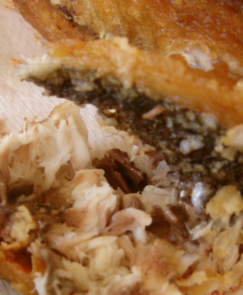 ��ǵ�������Į72