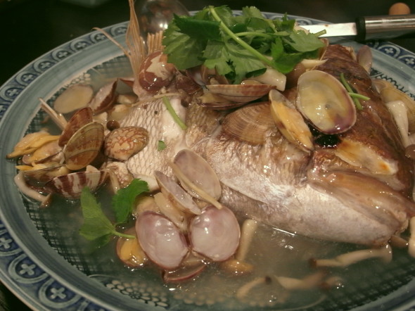 ��ë��taizo40