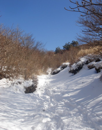 �����夦41