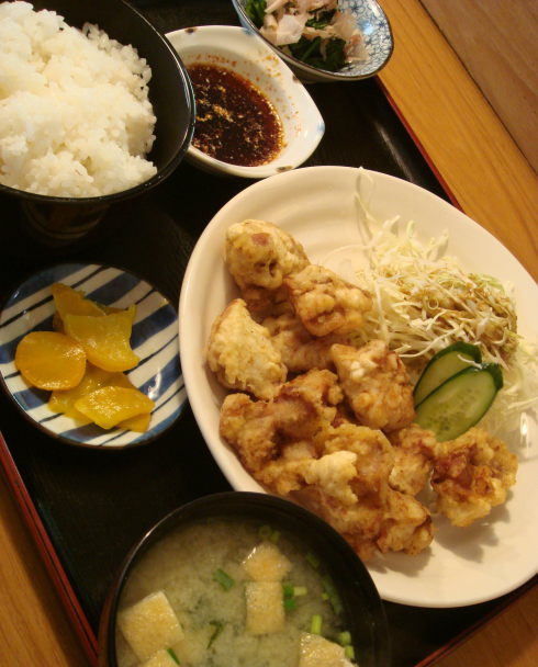 ̣ʤ褷ʬ20