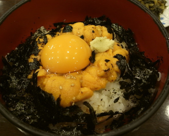 �����迩Ʋ40