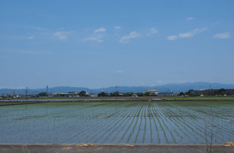 2020_06_20_ichi16
