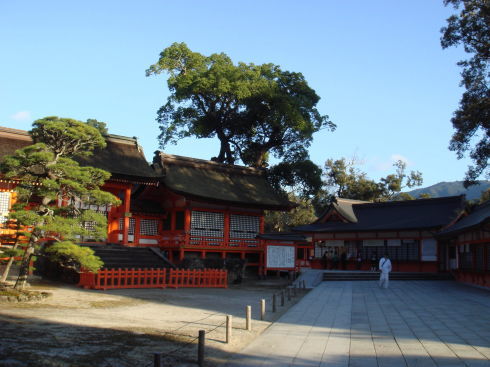 ��������27